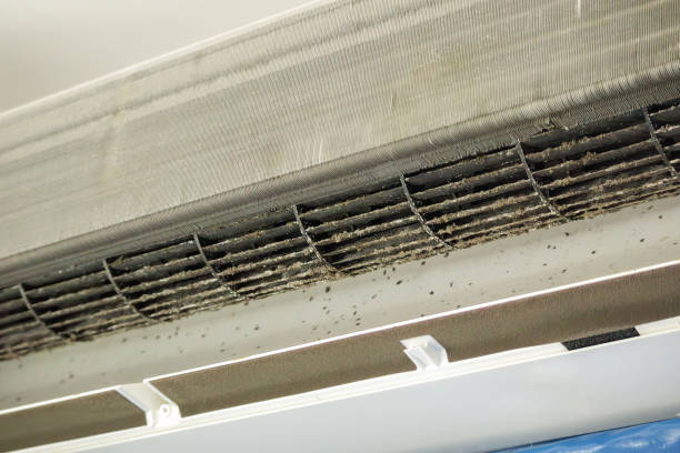 Best Commercial HVAC Duct Cleaning  in Limestone Creek, FL